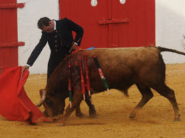 Antonio Ferrera actuó en el festival de Mourao. (FOTO: Joao Silva)