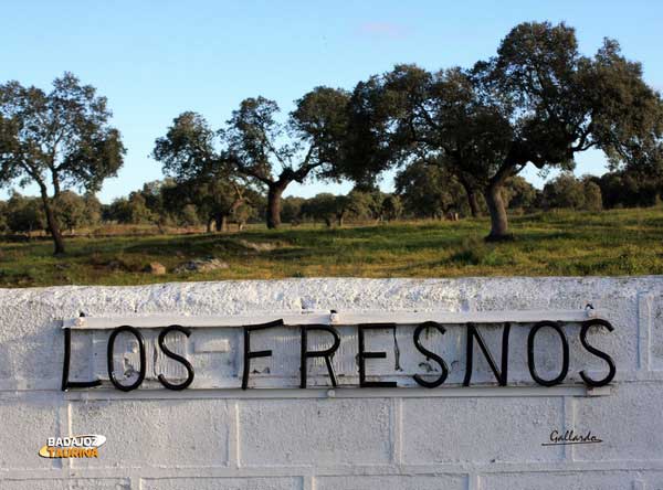 La finca 'Los Fresnos' sirve de escenario para este reportaje.