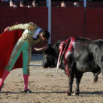 parejoajalvirlopez