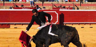 Fernando Flores en su actuación de hoy en Huelva. (FOTO: Xosé Andrés)