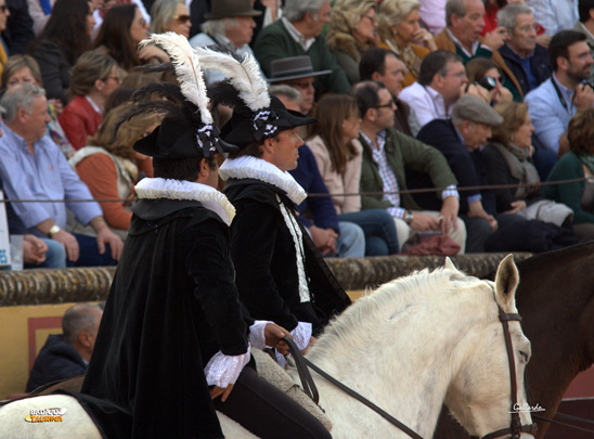 Cuello de cervantes, también conocido como de lechuguilla