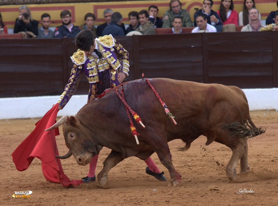 Alejandro Talavante