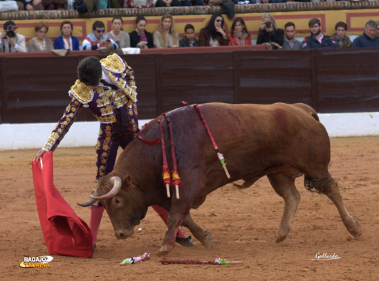 Alejandro Talavante