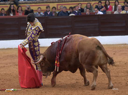 Alejandro Talavante