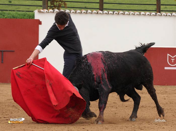 Ginés Marín.