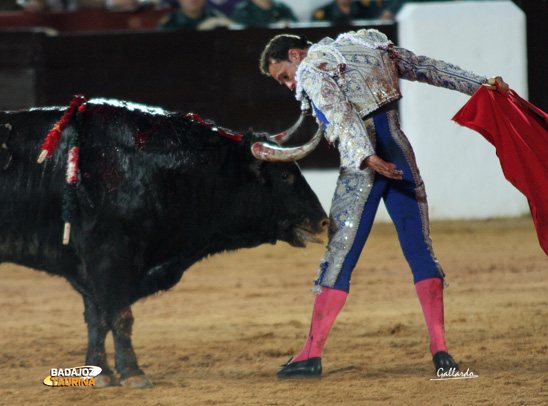 Ferrera jugándose la cornada que luego se cobraría el astado. (FOTO: Gallardo)