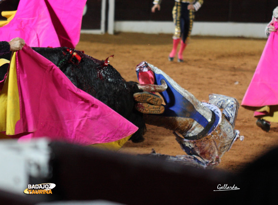 Momento en que el toro de Garcigrande hiere a Ferrera. (FOTO:Gallardo)