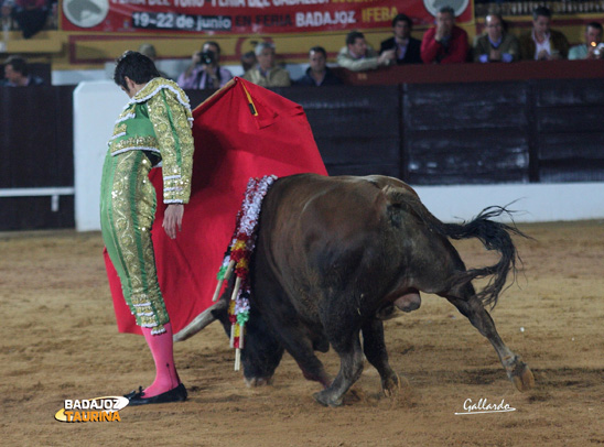 Perera y su tradicional comienzo de faena. (FOTO:Gallardo)