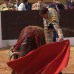 Posada acariciando al natural. (FOTO:Gallardo)