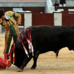 Tomás Campos en su actuación en Las Ventas. (FOTO: Juan Pelegrín)