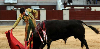 Tomás Campos en su actuación en Las Ventas. (FOTO: Juan Pelegrín)