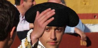 Tulio Salguero en su último paseíllo en Olivenza. (FOTOS: Gallardo)