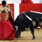 El novillero pacense Tulio Salguero.
