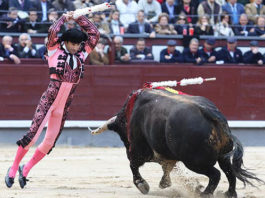 Luis García en la plaza de Las Ventas. (FOTO: Juan Pelegrín)