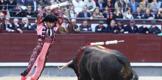 Luis García en la plaza de Las Ventas. (FOTO: Juan Pelegrín)