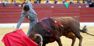 Perera en un derechazo en el festival de Murcia. (FOTO: Guillermo Lorente)