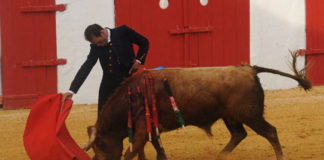 Ferrera, de corto, en un festival celebrado en Mourao. (FOTO: Joao Silva)