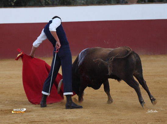 Miguel Ángel Silva