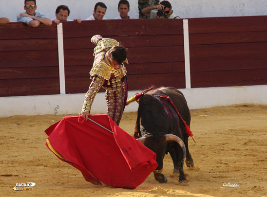 Miguel Ángel Silva