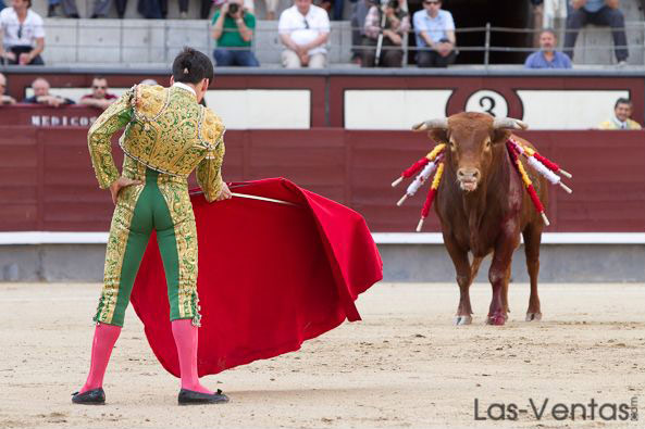 Garrido citando al novillo de su presetación.