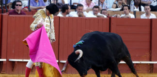 Posada de Maravillas lanceando a su primero en Sevilla. (FOTO: Toromedia)