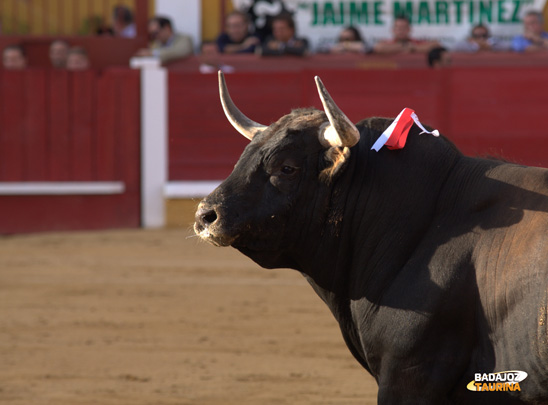 Llegado desde las praderas del medio oeste