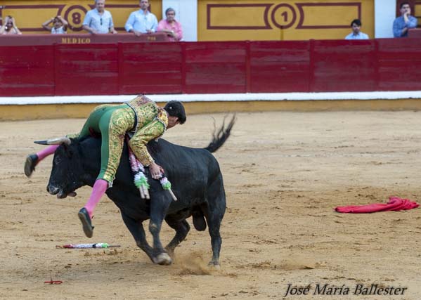 Jose Garrido
