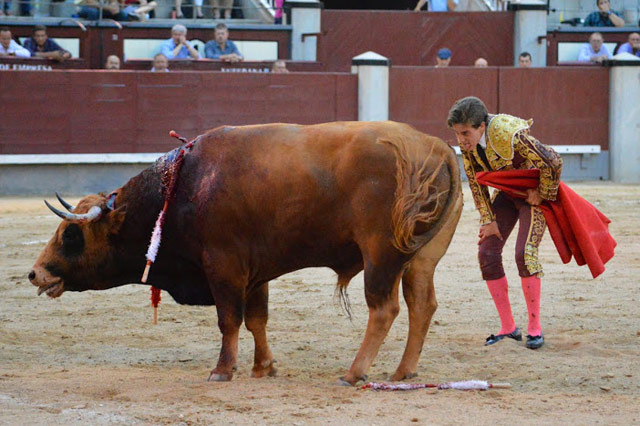 Tomás Angulo (Foto: Paco Campos)