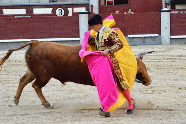 Tomás Angulo (Foto: Paco Campos)