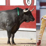romana14
