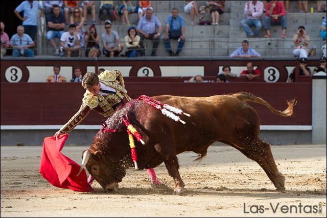 Tomás Angulo (Foto: Juan Pelegrín)