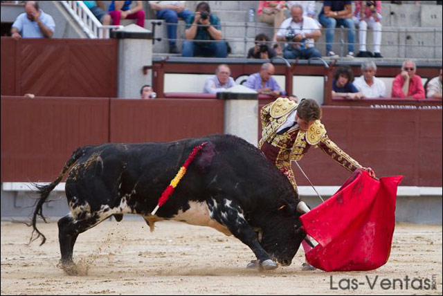 Tomás Angulo (Foto: Juan Pelegrín)