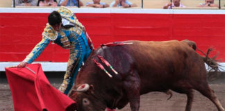 Perera lidiando en Bilbao a 'Hechicero' (FOTO: Manu de Alba-mundotoro.com)