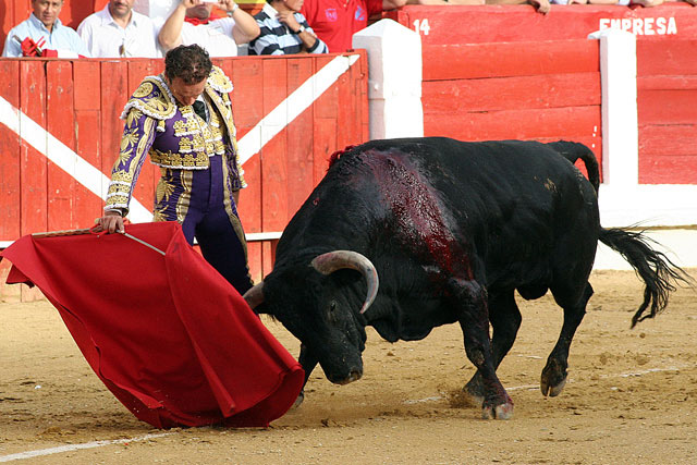 Antonio Ferrera
