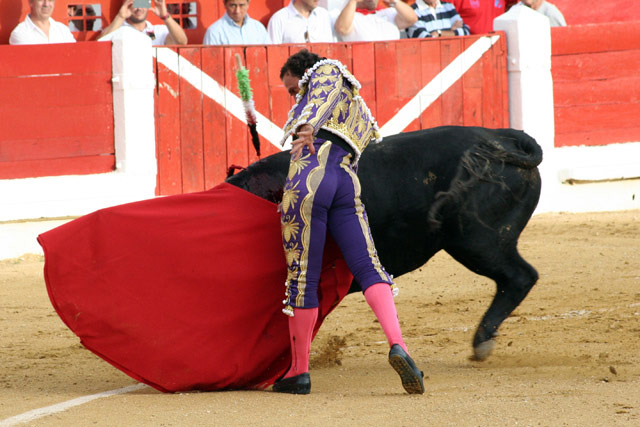 Antonio Ferrera