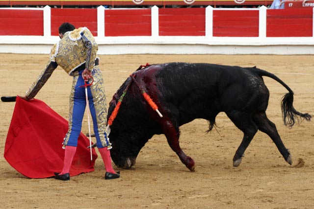 Alejandro Talavante