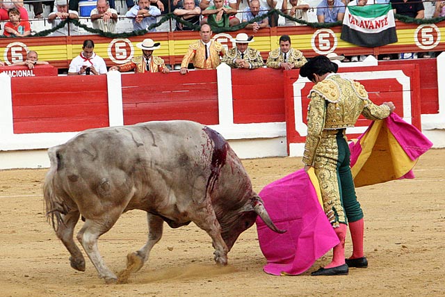 Juan Mora