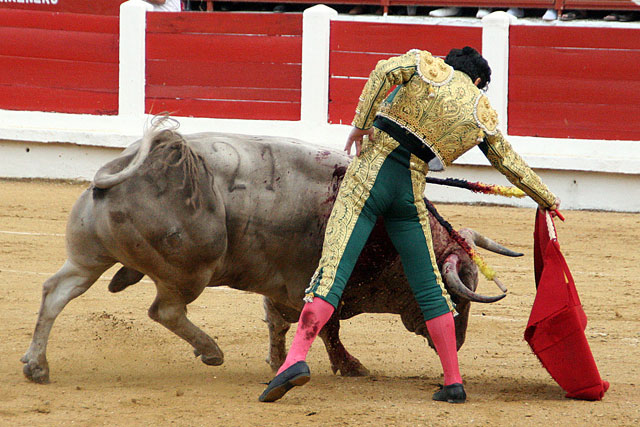 Juan Mora