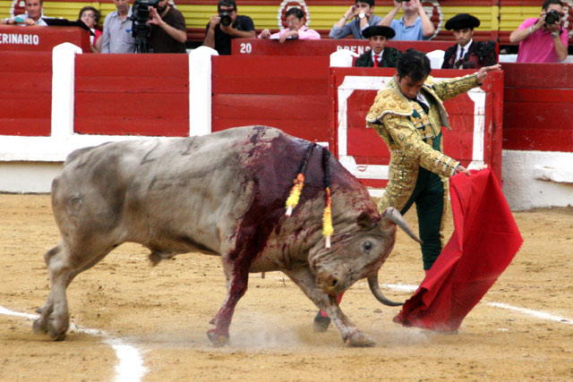 Juan Mora