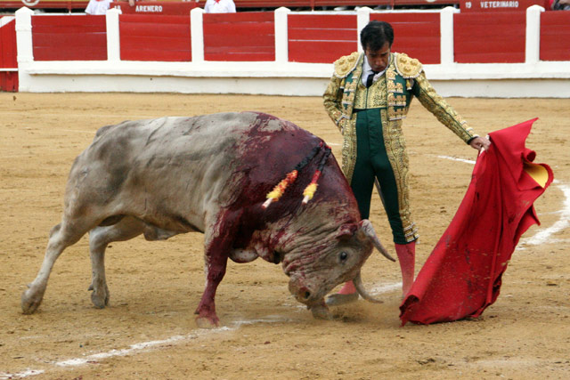 Juan Mora