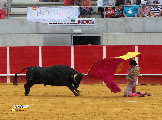 Luis Domínguez