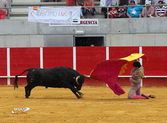 Luis Domínguez