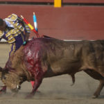 Antonio Ferrera muleteando a uno de los toros de la feria de Lima. (FOTO: Lula Cebrecos/mundotoro.com)