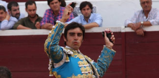 Miguel Ángel Perera mostrando dos de las cuatro orejas conseguidas en Zafra. (FOTO: Gallardo)