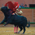 Tomás Angulo durante su actuación en Arnedo. (FOTO: Poyatos-mundotoro.com)