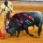 Alejandro Talavante en un instante de su faena al sobrero de regalo. (FOTO: suertematador.com)