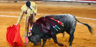 Alejandro Talavante en un instante de su faena al sobrero de regalo. (FOTO: suertematador.com)