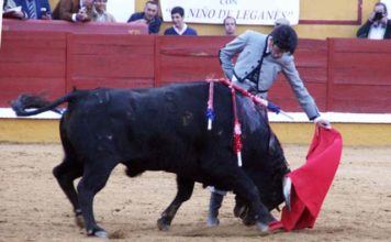 Alejandro Talavante en una imagen de archivo (FOTO: Gallardo)
