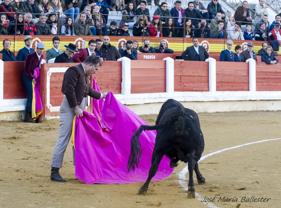 Pedro Gonçalves y el novillo de Luis Terrón