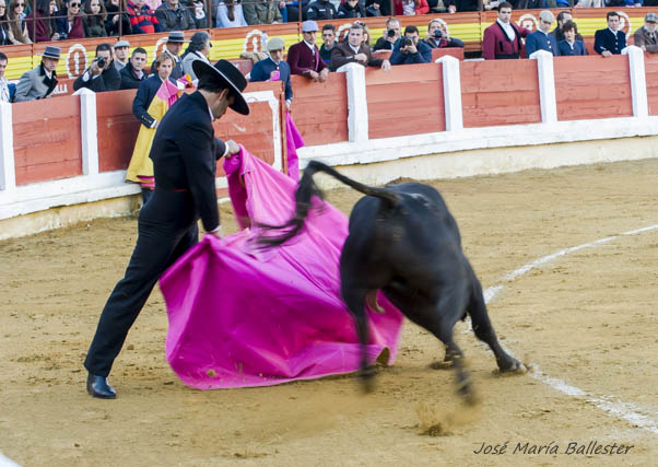 M. Murillo y el novillo de Diego Gª de la Peña